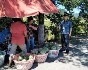 金乡吃瓜群众事件真相是真的吗,真相揭秘