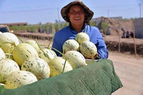 群众吃瓜i 沛染,揭秘网络热点的背后故事