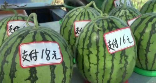 吃瓜群众优质水果倡导者,倡导者带你领略健康美味之旅”