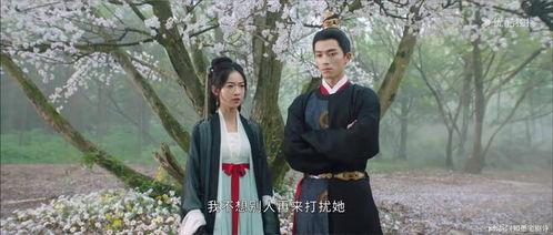 墨雨云间吃瓜群众,揭秘吃瓜群众的狂欢盛宴