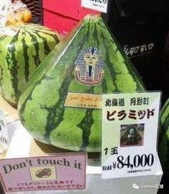 世界各国人吃瓜群众,全球“吃瓜群众”现象解析