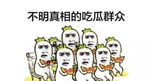 吃瓜群众三观炸裂小说,吃瓜群众惊爆娱乐圈惊天秘闻