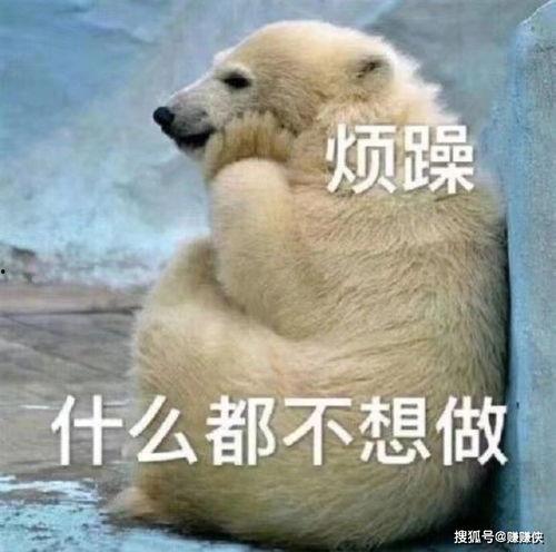 拿走吃瓜群众图片,拿走图片背后的故事