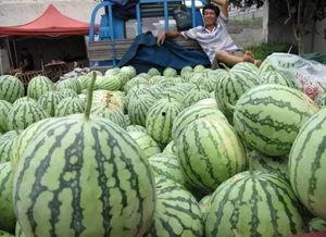 绿幕素材吃瓜群众视频大全