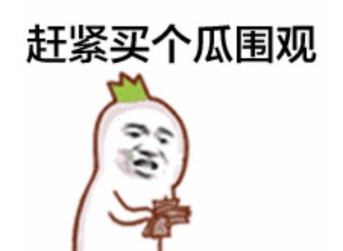 张九哥吃瓜群众是谁啊,张九哥吃瓜群众背后的神秘身份